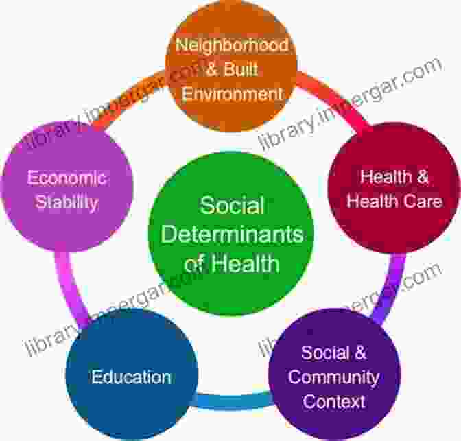 A Diagram Showing The Interconnected Factors That Contribute To The Social Determinants Of Rabies. Tell Me Why My Children Died: Rabies Indigenous Knowledge And Communicative Justice (Critical Global Health: Evidence Efficacy Ethnography)