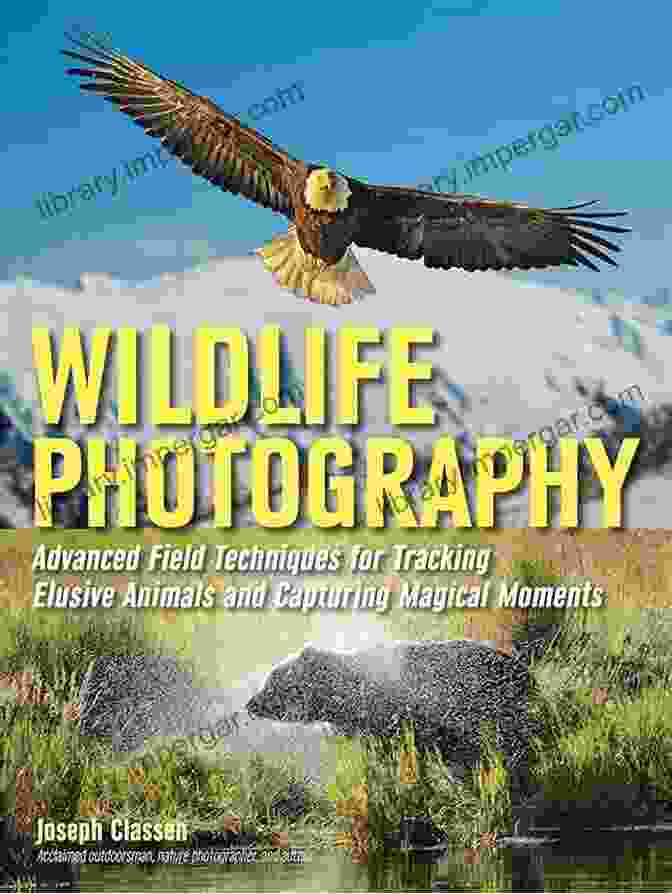 Advanced Field Techniques For Tracking Elusive Animals And Capturing Magical Shots Wildlife Photography: Advanced Field Techniques For Tracking Elusive Animals And Capturing Magical Moments