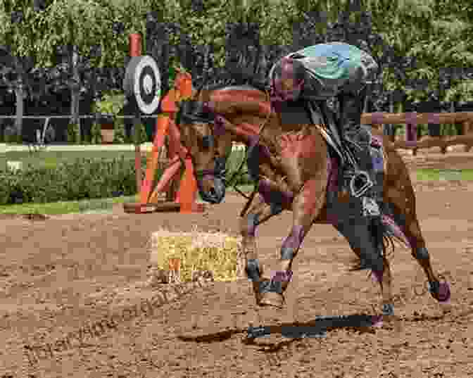 An Image Of A Rider On A Horse In A Western Style Saddle, Galloping Across A Field The Basics Of Western Riding