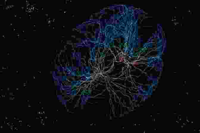 An Intricate Brain Scan, Showcasing The Complex Network Of Neural Connections That Define Our Cognitive Landscape. Brain Boost: 3 Manuscripts Of Brain Facts And Neuroscience