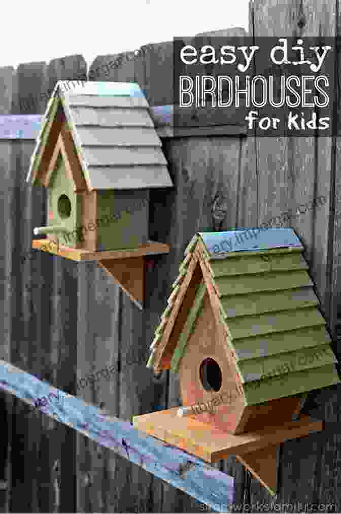 Building A Birdhouse For Beginners CARPENTRY FOR BEGINNERS: Carpentry Basic Ideas Tools And Safety Equipment For Absolute Beginners