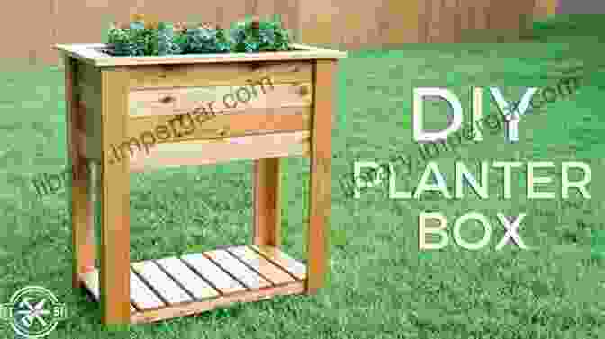 Building A Planter For Beginners CARPENTRY FOR BEGINNERS: Carpentry Basic Ideas Tools And Safety Equipment For Absolute Beginners