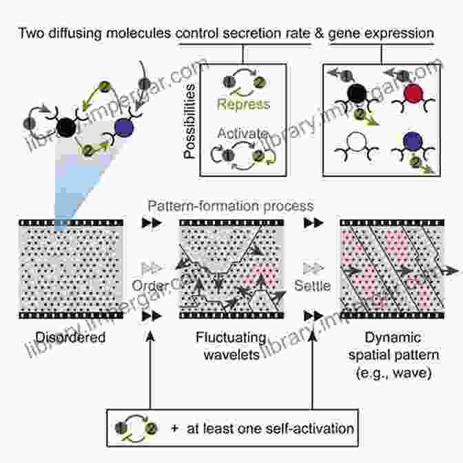 Cellular Dialogues Are Mediated By A Variety Of Molecular Mechanisms. Cellular Dialogues In The Holobiont (Evolutionary Cell Biology)