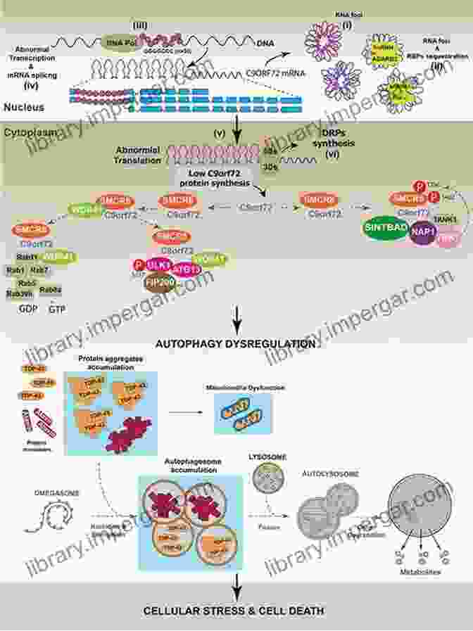 Dysregulation Of Cellular Dialogues Can Lead To A Variety Of Pathological Conditions. Cellular Dialogues In The Holobiont (Evolutionary Cell Biology)