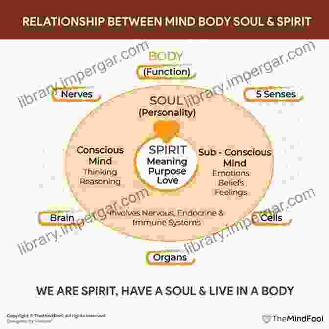 Mind, Body, Soul Connection Your Spiritual Evolution: Using Holistic Methods To Heal The Mind Body Soul Connection