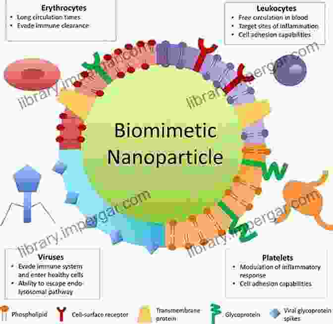 Nanoparticle Based Drug Delivery Nanotechnology And Oncology: Workshop Summary