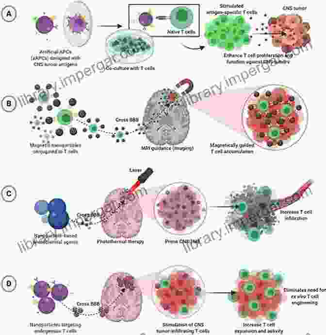 Nanoparticles For Cancer Diagnosis Nanotechnology And Oncology: Workshop Summary