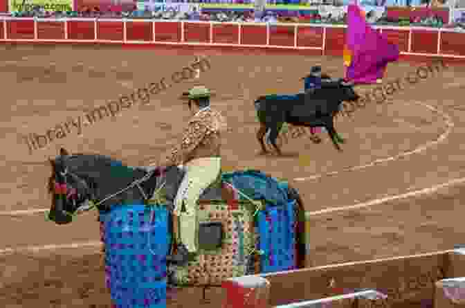 Picadors Wounding A Bull During A Bullfight Bullfighting Culture Tradition: How Are Bulls Treated Before A Bullfight: History Of Bullfighting