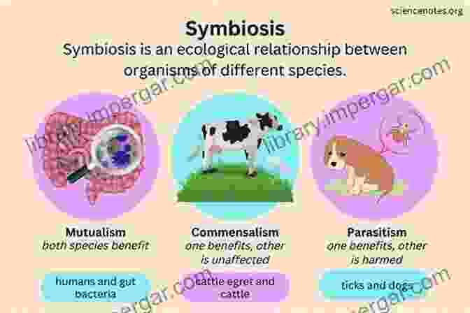 Symbiotic Relationships Have Played A Crucial Role In Shaping The Evolution Of Both Hosts And Microbes. Cellular Dialogues In The Holobiont (Evolutionary Cell Biology)