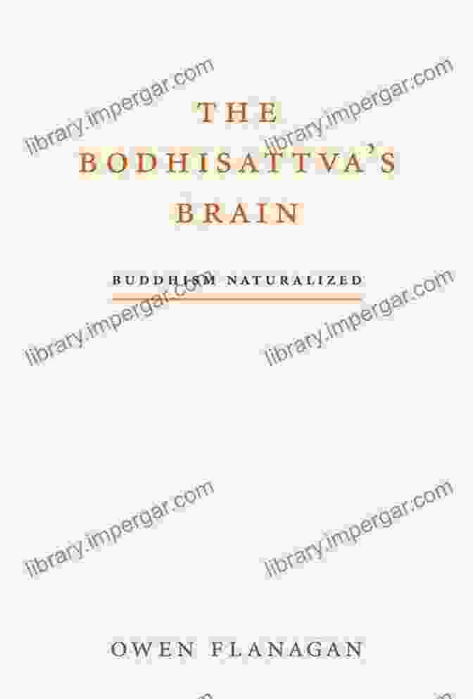 The Bodhisattva Brain Buddhism Naturalized Book Cover The Bodhisattva S Brain: Buddhism Naturalized