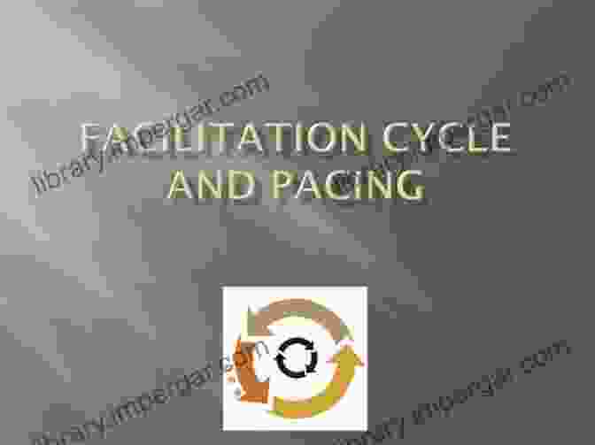 The Facilitation Cycle Understanding The Facilitation Cycle (Facilitation Analytics 1)