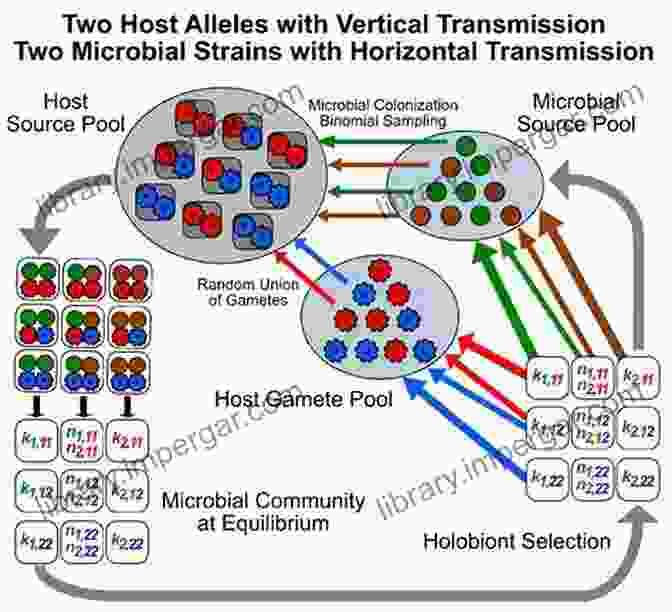 The Holobiont Is A Superorganism Composed Of A Host And Its Associated Microbiome. Cellular Dialogues In The Holobiont (Evolutionary Cell Biology)