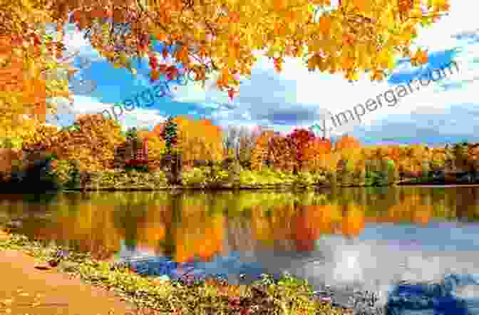 Vibrant Foliage Of Autumn Trees Reflecting In The Still Waters Of The New River Haikus And Photos: Seasons Of New River