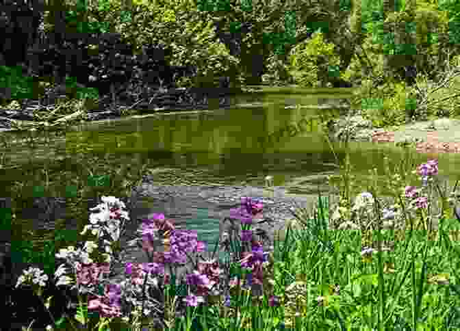 Vibrant Hues Of Spring Wildflowers Blooming Along The Banks Of The New River Haikus And Photos: Seasons Of New River