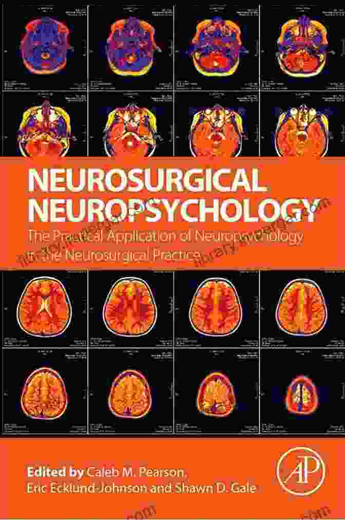 Visual Representation Of Practical Applications Of Male Neuropsychology In Healthcare The Neuropsychology Of Men : A Developmental Perspective From Theory To Evidence Based Practice