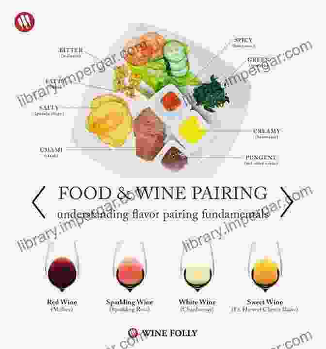 Wine Glasses Paired With Different Foods Wine Facts And How To Make: The Basics Of Wine You Need To Know