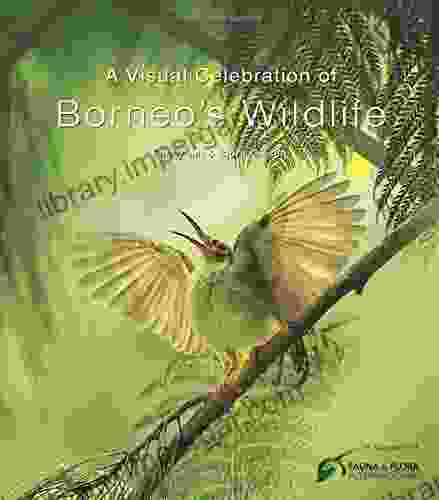 Visual Celebration Of Borneo S Wildlife: All Royalties Donated To Fauna Flora International