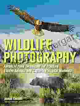 Wildlife Photography: Advanced Field Techniques For Tracking Elusive Animals And Capturing Magical Moments