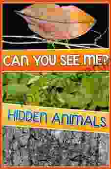 Children Books: HIDDEN ANIMALS (Amazing Find The Animals) Search And Find (Age 4 12): Search And Find