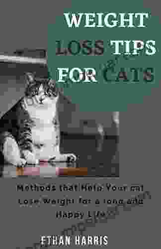 WEIGHT LOSS TIPS FOR CATS: Methods To Help Your Cat Lose Weight For A Long And Happy Life