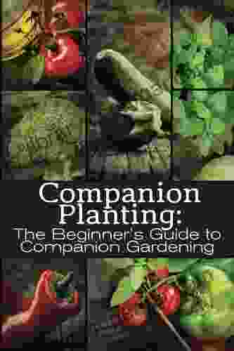 Companion Planting: The Beginner s Guide to Companion Gardening (The Organic Gardening 1)