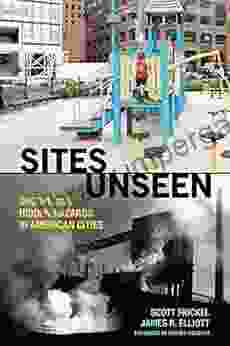 Sites Unseen: Uncovering Hidden Hazards In American Cities (American Sociological Association S Rose Series)