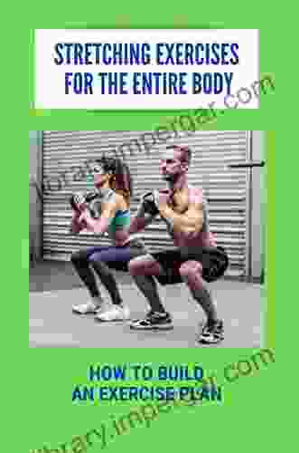 Stretching Exercises For The Entire Body: How To Build An Exercise Plan