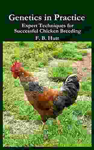 Genetics In Practice: Expert Techniques For Successful Chicken Breeding