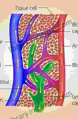 The Dermal Lymphatic Capillaries