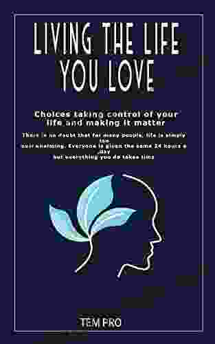 Living The Life You Love: Choices Taking Control Of Your Life And Making It Matter