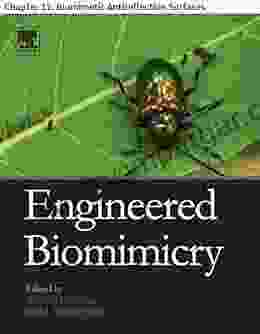 Engineered Biomimicry: Chapter 12 Biomimetic Antireflection Surfaces