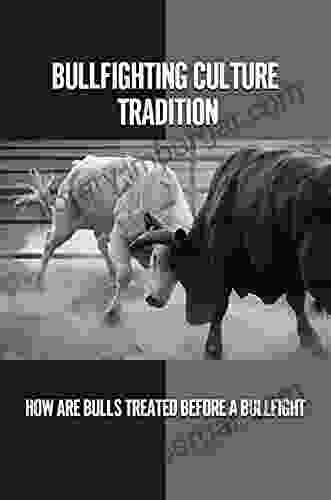 Bullfighting Culture Tradition: How Are Bulls Treated Before A Bullfight: History Of Bullfighting