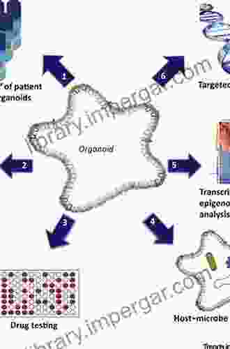 Organoid Technology For Disease Modelling And Personalized Treatment (Stem Cell Biology And Regenerative Medicine 71)